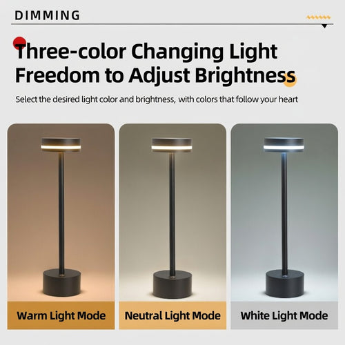Cordless Rechargeable LED Table Lamp Touch Control 3 Color Temperatures Dimmable Bedside Lamp