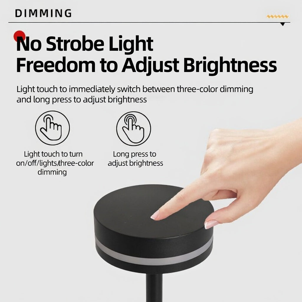 Cordless Rechargeable LED Table Lamp Touch Control 3 Color Temperatures Dimmable Bedside Lamp